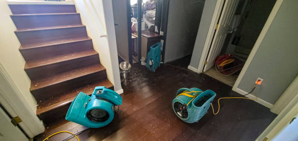 Best Water damage restoration experts  in Moriches, NY