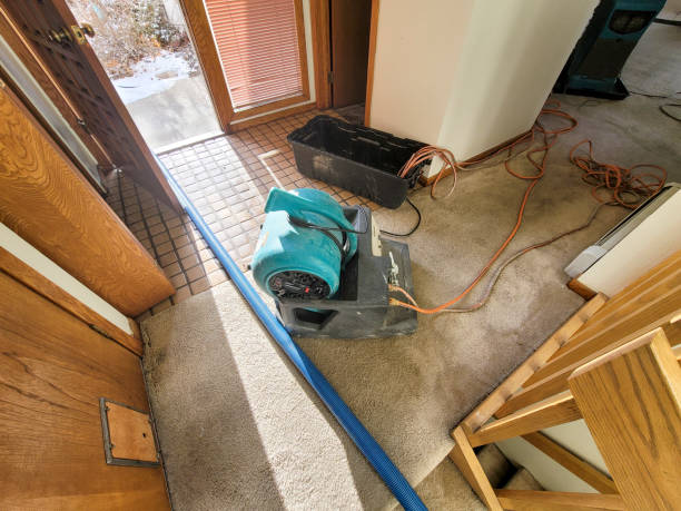 Best Sewage cleanup and water damage restoration  in Moriches, NY