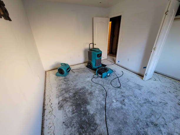 Water damage restoration mold remediation in NY