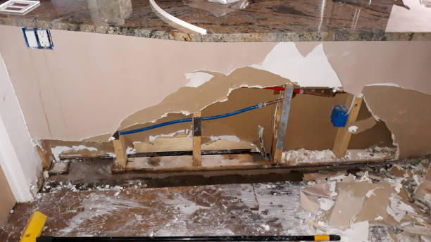 Best Mold removal after water damage  in Moriches, NY