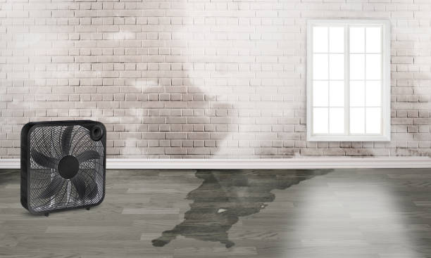 Trusted NY Water damage restoration Experts