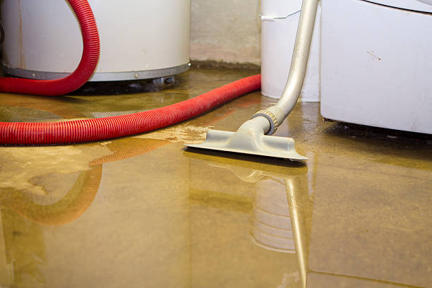 Best Commercial water damage restoration  in Moriches, NY